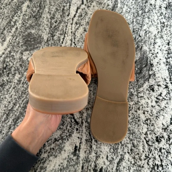 Unity.In.Diversity - Picture 2 of 2